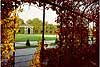 Park Sch�nbrunn