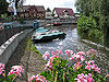Hafen Burg