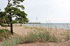 Yyteri Strand und Düne