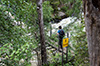 Hängebrücke auf dem Bärenpfad