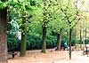 Jardin du Luxembourg