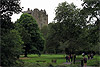 Blarney Castle