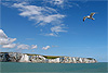 White Cliffs of Dover