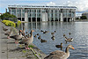 Rathaus Reykjavík am Reykjavíkurtjörn