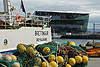 Hafen mit Konzerthaus Harpa