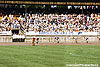 Friedensfahrt 1989, 42. Auflage, Etappenankunft Dresden, Steyer Stadion, die Spitzenreiter kommen ins Stadion, Raab-Regec-Ludwig