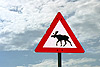 Elchschild Norwegen sieht anders aus