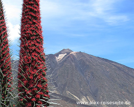 Video Teneriffa - Teide